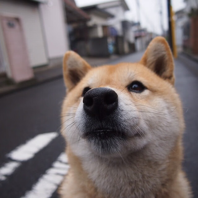 【经典逆转】马克·塞尔比比赛中的“封锁”战术分析,马克塞尔比练球视频