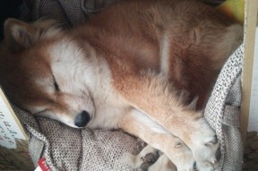 开云体育官网登入-“西甲各队士气高涨,争夺战越发激烈”,西甲各队阵容