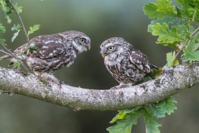 开云·体育官网APP下载-【名将专访】丁俊晖:保持训练热情的秘诀,丁俊晖是如何练成的