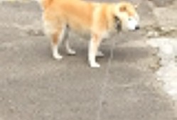 开云备用-“西甲明星飙技连连，场上演出精彩纷呈”，西甲巨星