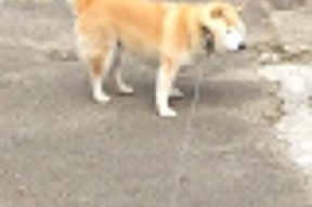 开云备用-“西甲明星飙技连连,场上演出精彩纷呈”,西甲巨星