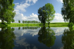 开云真人体育娱乐-保级大战：末位球队拼杀，积分差距微妙变化，nba保级赛